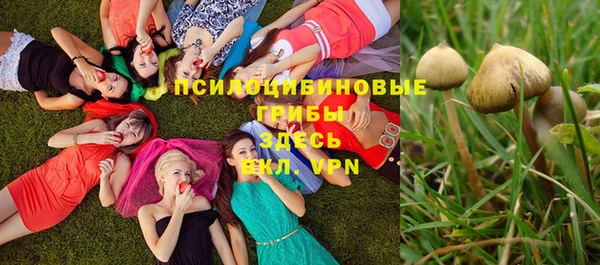 прущие крисы Михайловка
