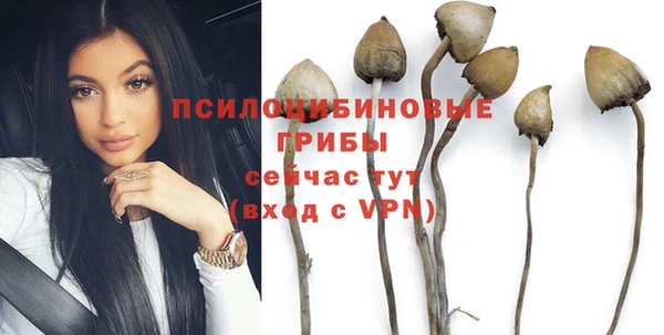 прущие крисы Михайловка