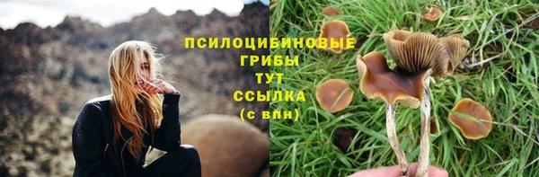 эйфоретик Михайлов