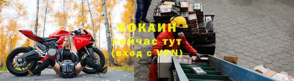 ПСИЛОЦИБИНОВЫЕ ГРИБЫ Медвежьегорск
