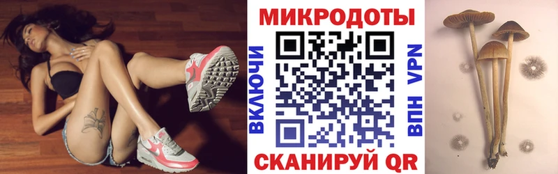 купить наркотик  Южноуральск  Псилоцибиновые грибы мицелий 