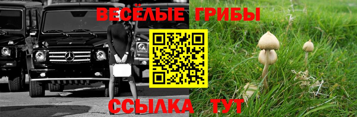 Галлюциногенные грибы Cubensis Южноуральск