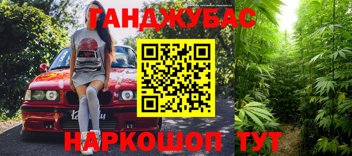 Шишки марихуана планчик  Каннабис Ganja  Марихуана план  Южноуральск  Канабис сатива 